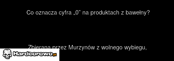 Zagadka - 1