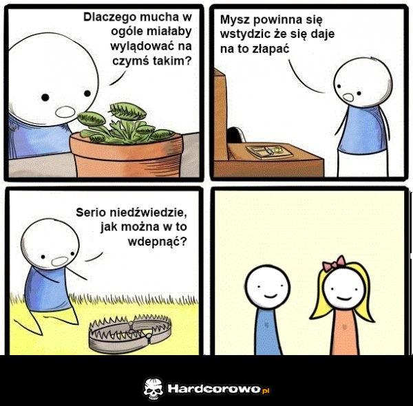 Pułapki - 1