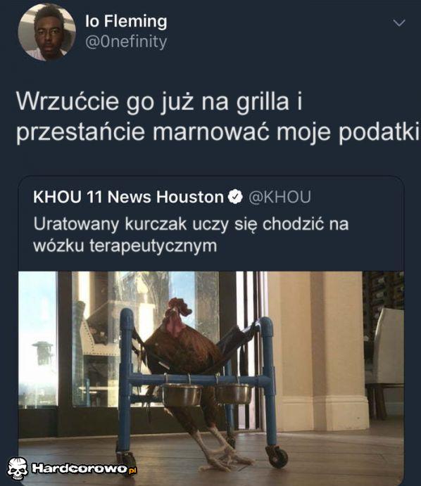 Uratowany kurczak - 1