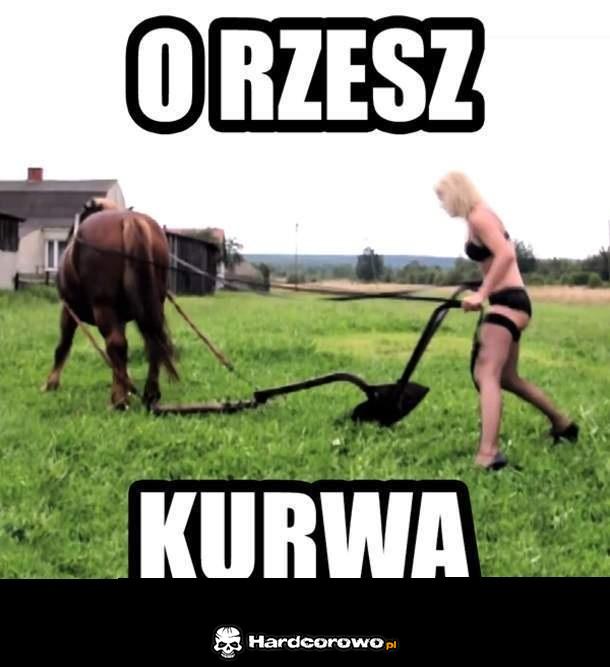 O rzesz - 1