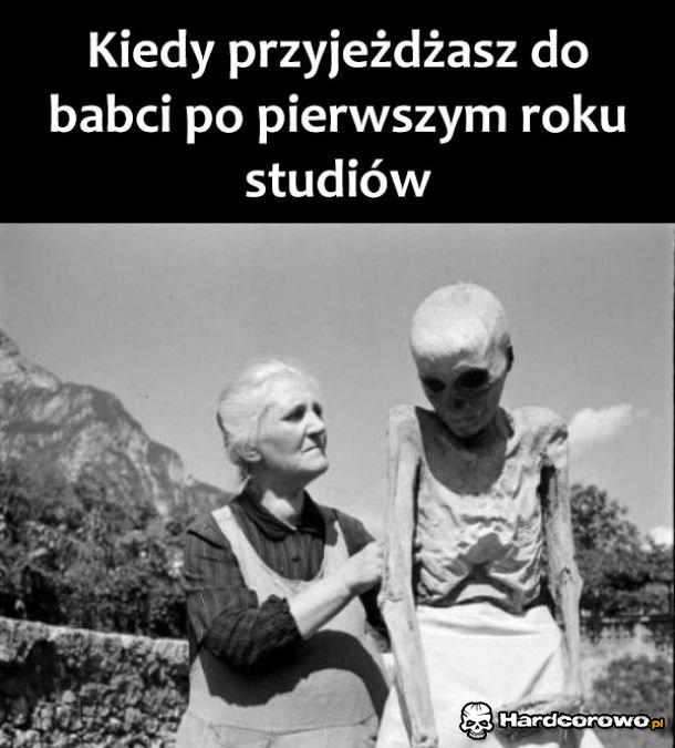 Studia - 1