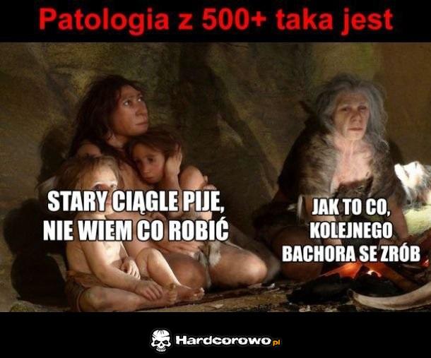 Patologia 500+ - 1