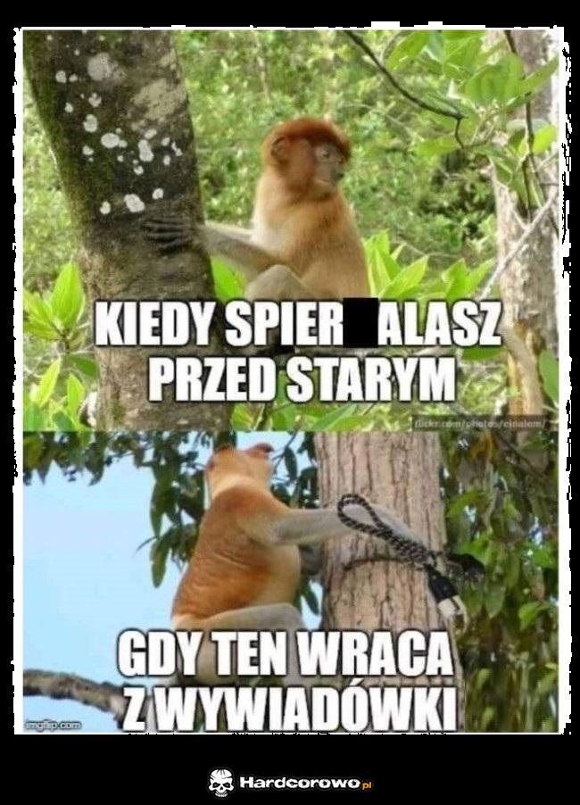 Gdy stary wraca z wywiadówki - 1