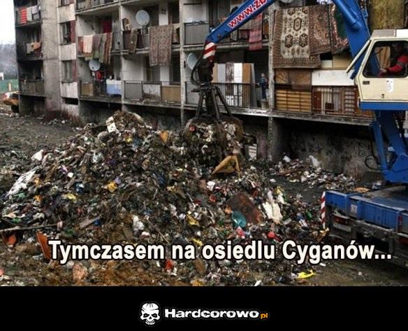 Tymczasem - 1