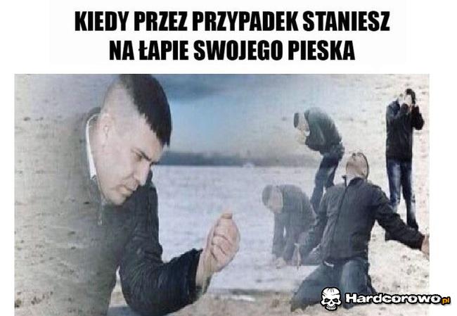 Kiedy niechcący nadepniesz na psa - 1