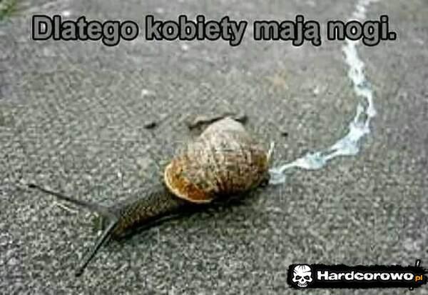  - 1