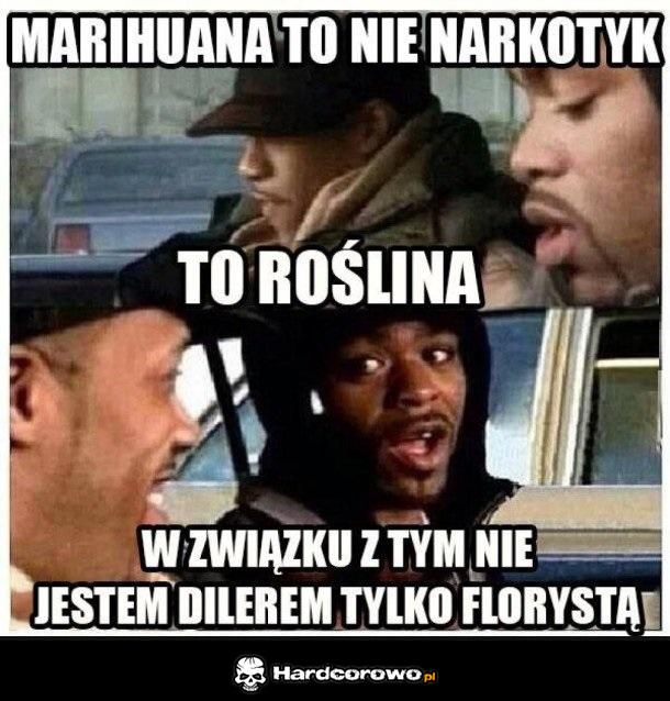 Nie myl pojęć - 1