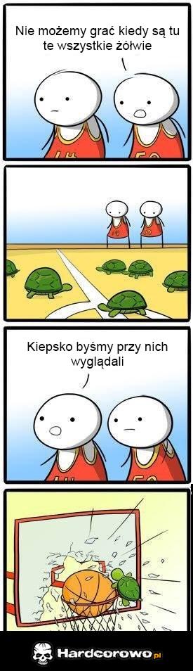 Żółwie - 1