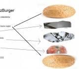 GruzBurger