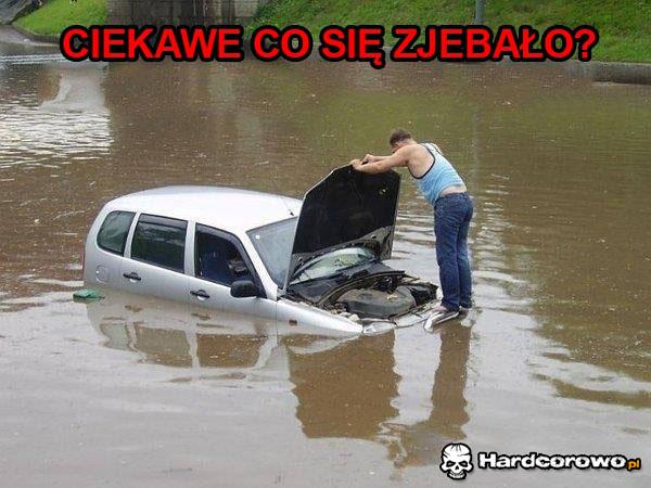 No ciekawe - 1