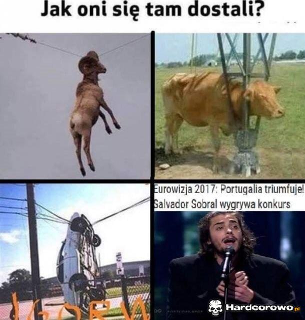 O to jest pytanie - 1