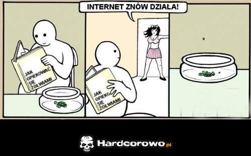 Internet znów działa - 1