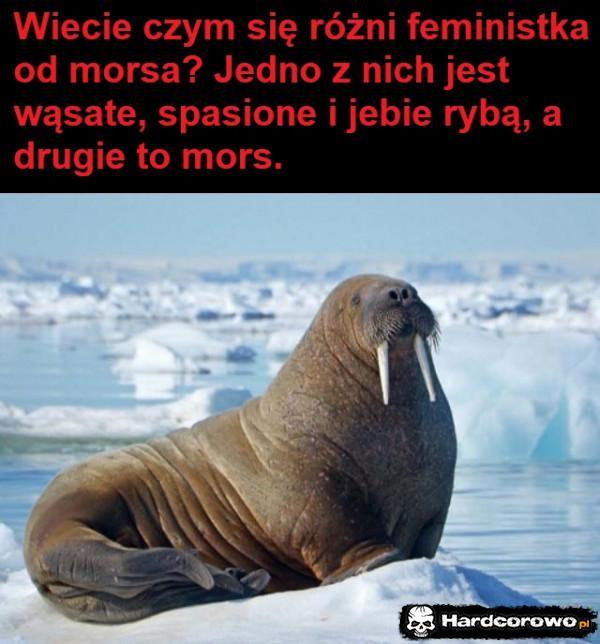  - 1