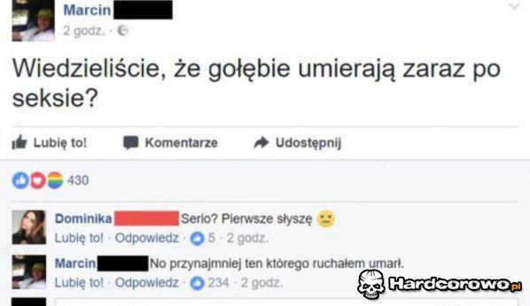 Gołębie po seksie  - 1