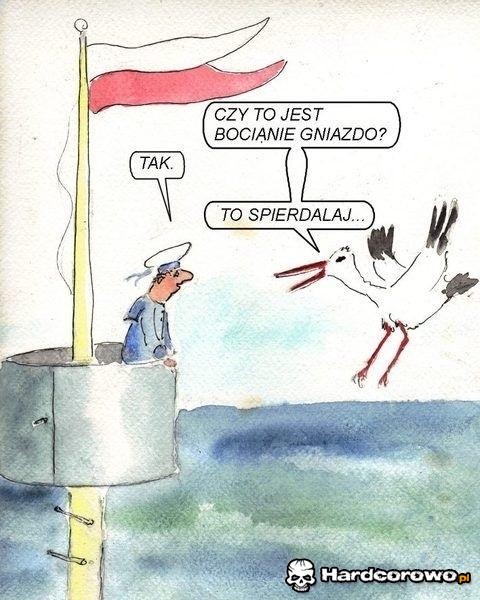 Bocian - 1