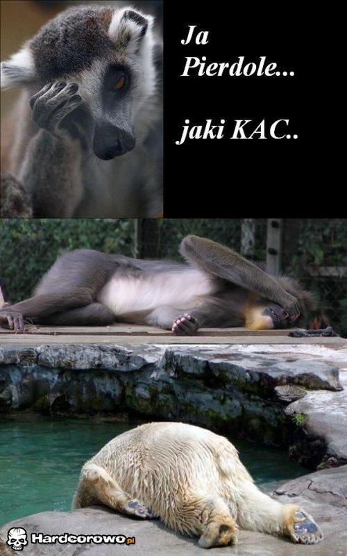 Jaki kac - 1