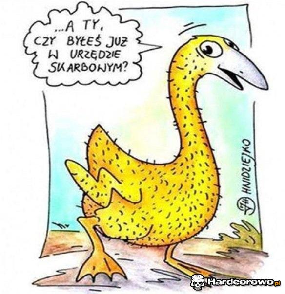 Byłeś już w Urzędzie Skarbowym? - 1