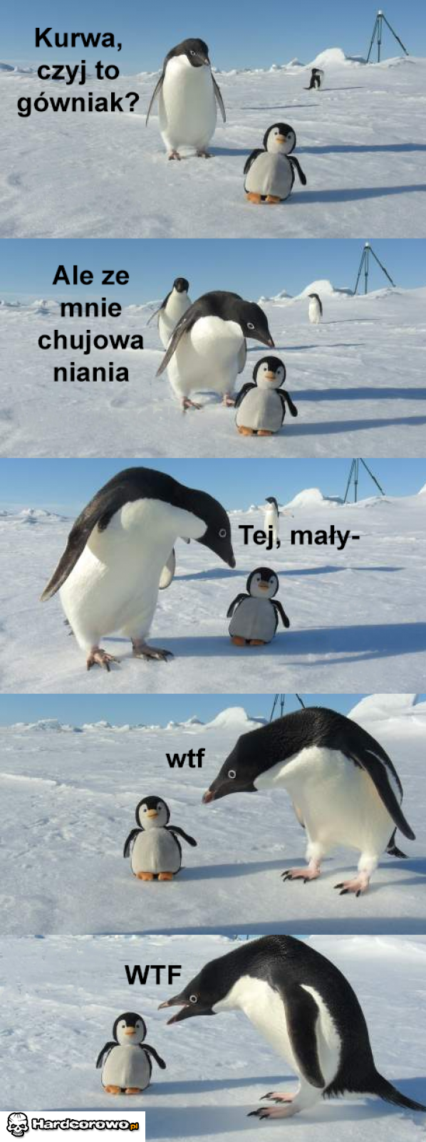 Niania - 1