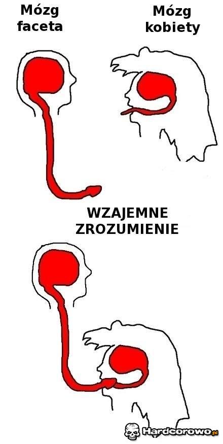 Wzajemne zrozumienie - 1
