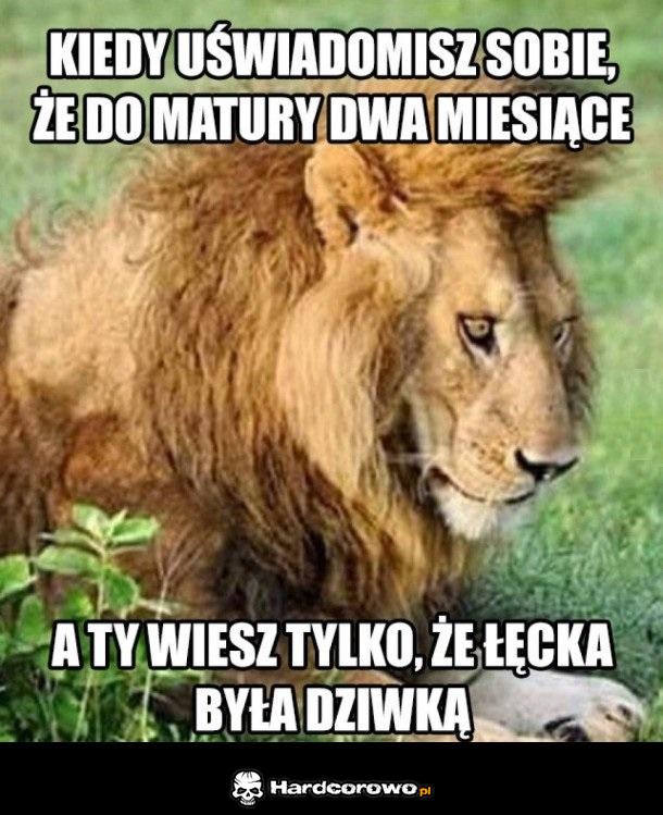 Do matury 2 miesiące - 1