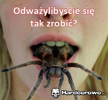 Kto ma odwagę? - 1