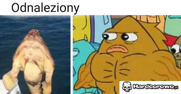 Odnaleziony  - 1