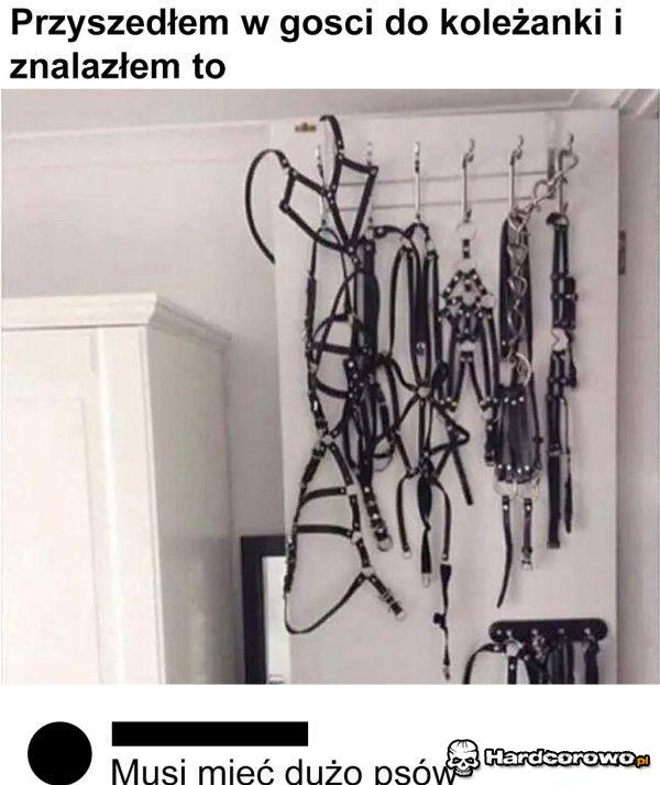 Bardzo lubi pieski - 1