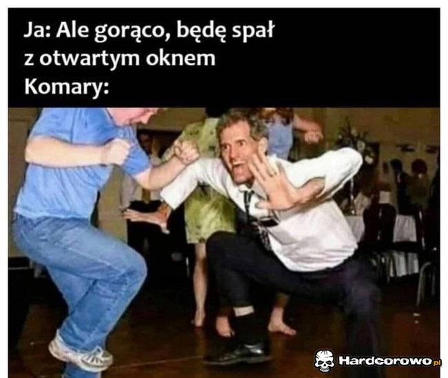 Komary wtedy wchodzą - 1