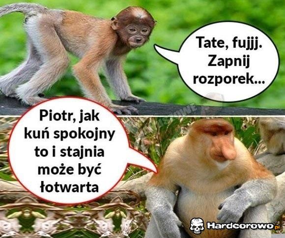 Co za tekst Janusza - 1