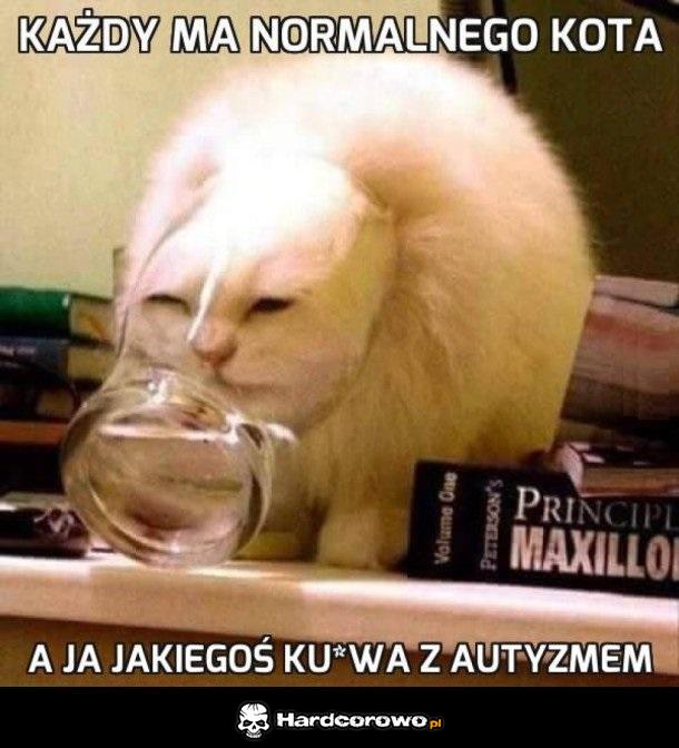Mój koteł - 1