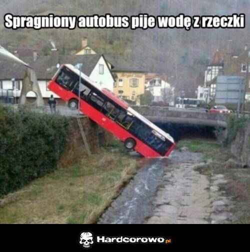 Spragniony autobus - 1
