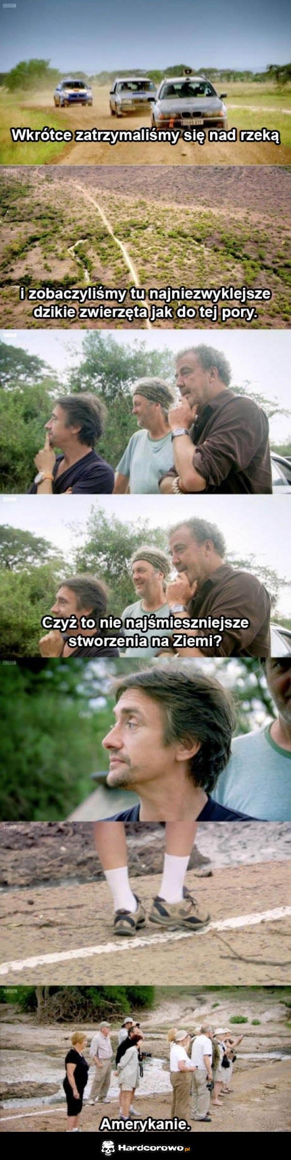 Dzikie zwierzęta - 1