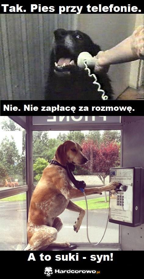 Rozmowa - 1