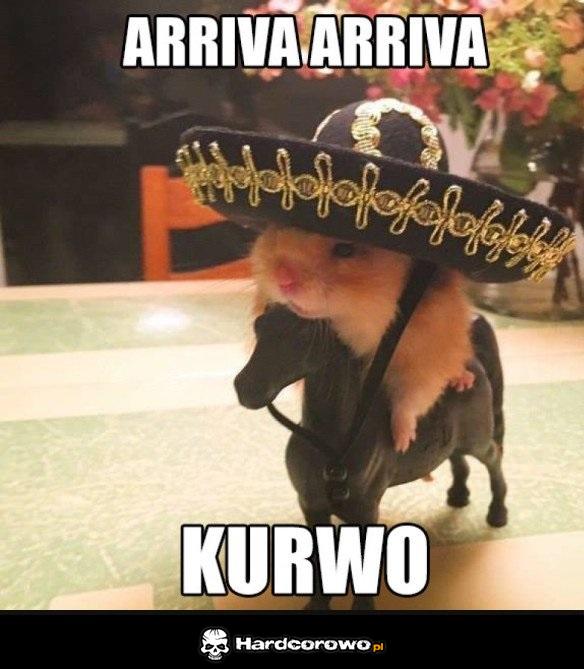Ariva ariva - 1