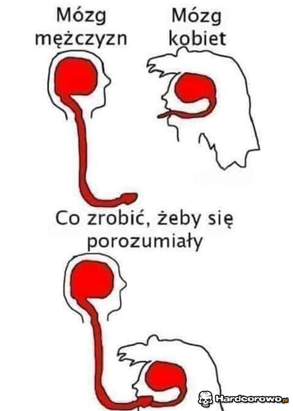 Porozumienie - 1