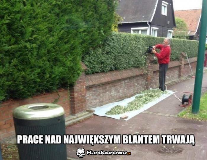 Prace nad największym blantem - 1