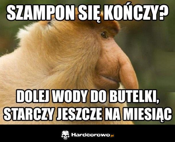 Oszczędnośc - 1