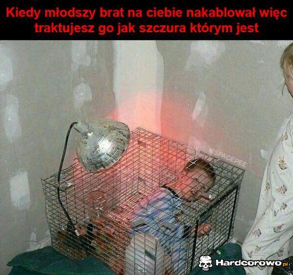 Masz za swoje - 1