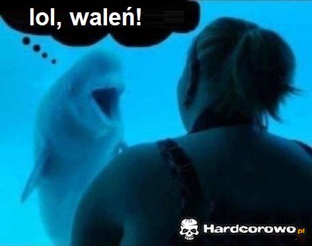 Waleń! - 1