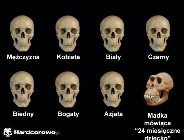 Czaszki - 1