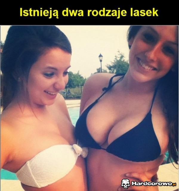 Dwa rodzaje lasek - 1