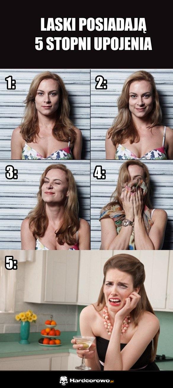 5 stopni upojenia - 1