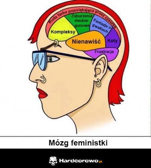 Mózg feministki - 1
