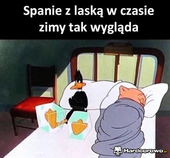 Spanie z laską - 1