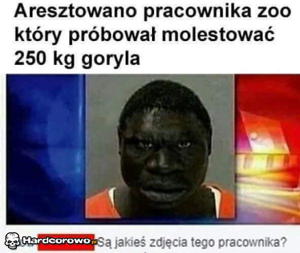 Aresztowano pracownika - 1