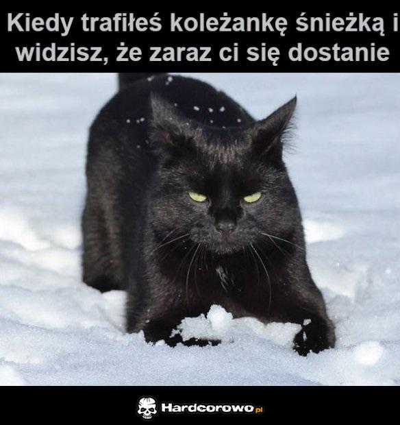 Koleżanka - 1