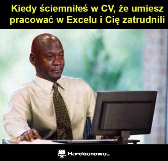 CV z Excelem - 1