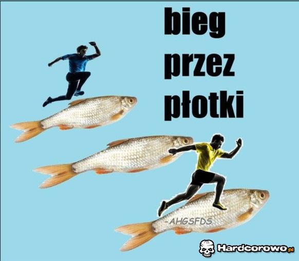 Bieg przez płotki - 1