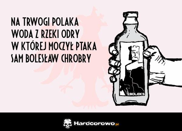 Polska wódka - 1
