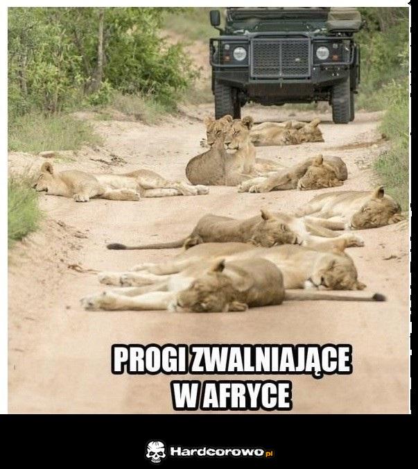 Progi zwalniające w Afryce - 1